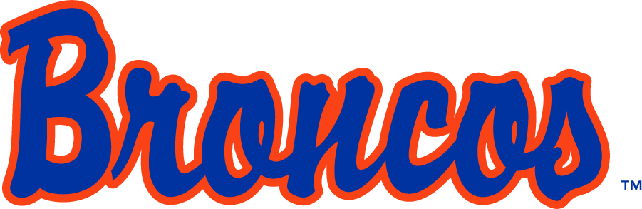 Boise State Broncos 1997-2001 Wordmark Logo v2 iron on transfers for T-shirts